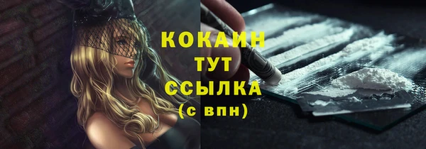 ECSTASY Богородск