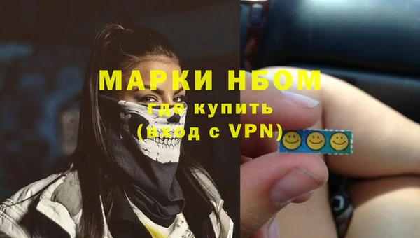 ECSTASY Богородск