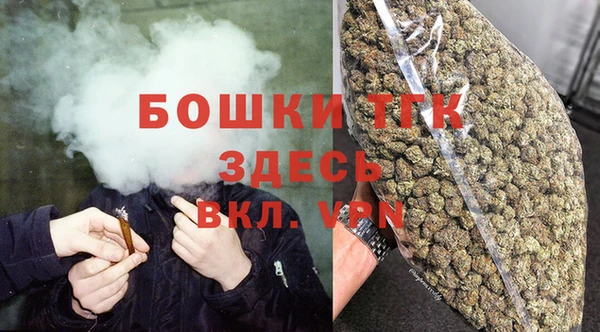 ECSTASY Богородск